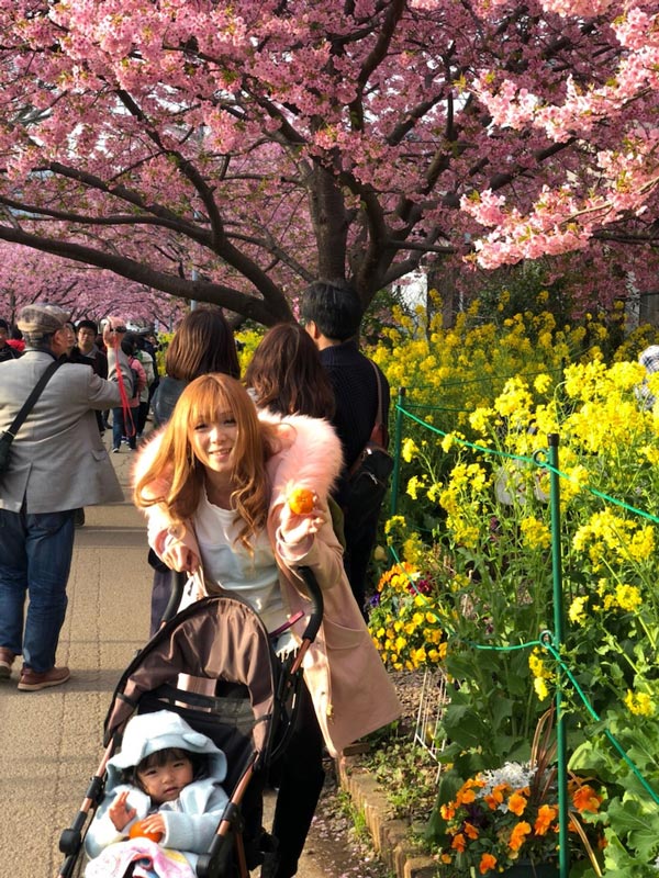 ゆかセンセからのお知らせ１