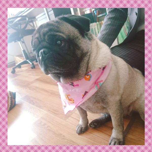 産後のカラダのこと、子育ての不安～ままケアはママのホットラインです～ - １