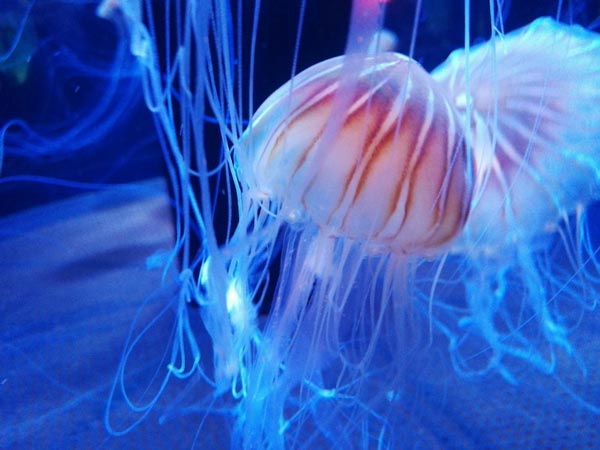 冬は乾燥に注意！ちゃんとカラダ潤ってる？ -１